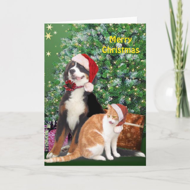 Cartes Pour Fêtes Annuelles Chat et chien avec chapeau de Père Noël (Devant)