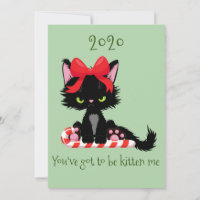 Chat Grumpy en colère 2020 Kitten Me Pun