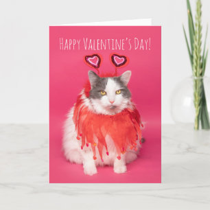 Cartes Pour Fêtes Annuelles Chat Heureuse Sainte-Valentin chaud et flou
