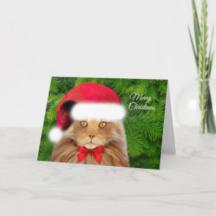 Cartes Pour Fêtes Annuelles Chat jaune à Santa Hat avec Bow