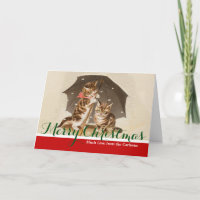Chat Kitten chaton antique vintage jolie mignonne