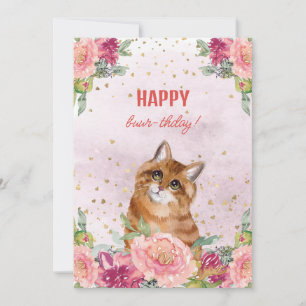 Cartes Pour Fêtes Annuelles Chat Kitten Joyeux Anniversaire Funny Mother Day