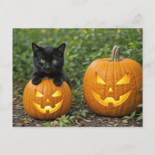 Cartes Pour Fêtes Annuelles Chat Kitten noir avec Jack O Lanterns Halloween