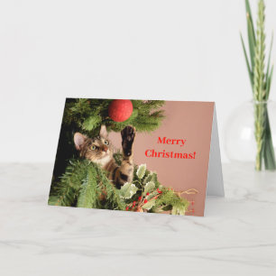 Cartes Pour Fêtes Annuelles Chat Kitten rouge drôle dans un arbre de Noël