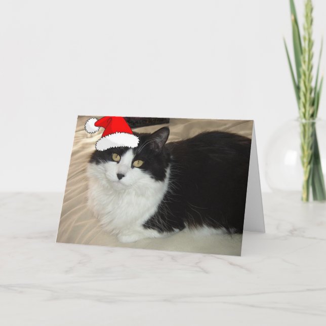 Cartes Pour Fêtes Annuelles Chat Kitty de Noël (Devant)