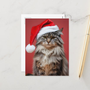 Cartes Pour Fêtes Annuelles Chat Maine Coon festif avec chapeau de Père Noël N