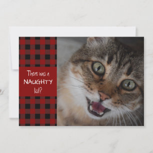 Cartes Pour Fêtes Annuelles Chat Méchant ou Gentil Plaid Rouge NOËL FÉLIN