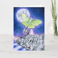 Chat mignon de sommeil avec la mite de Luna
