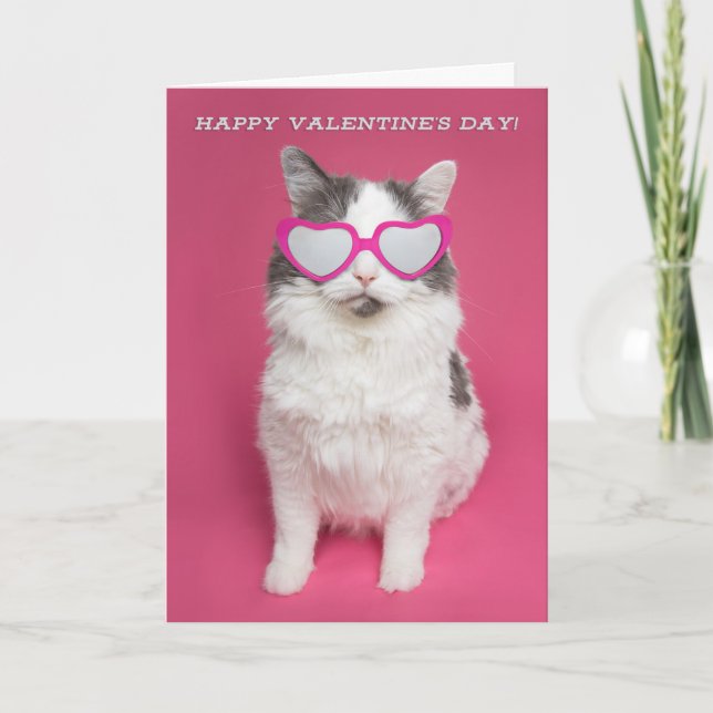 Cartes Pour Fêtes Annuelles Chat mignon Heureuse Sainte-Valentin en lunettes d (Devant)