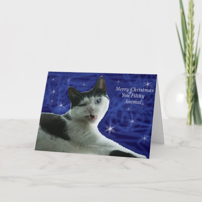 Cartes Pour Fêtes Annuelles Chat Noël animal sale (Devant)