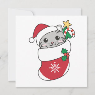 Cartes Pour Fêtes Annuelles Chat Noël Neige hiver Animaux Chats Voiture de vac