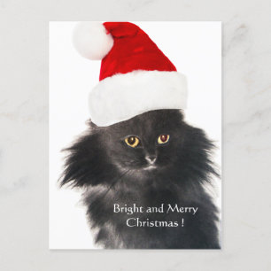 CARTES POUR FÊTES ANNUELLES CHAT NOËL NOIR AVEC CASQUETTE SANTA CLAUS