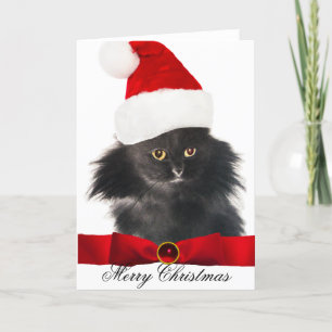 CARTES POUR FÊTES ANNUELLES CHAT NOËL NOIR AVEC CASQUETTE SANTA CLAUS