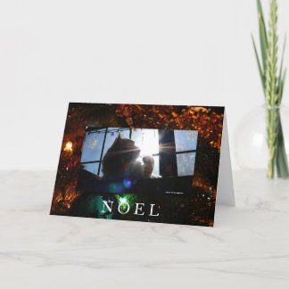 Cartes Pour Fêtes Annuelles Chat Noel-Sunburst