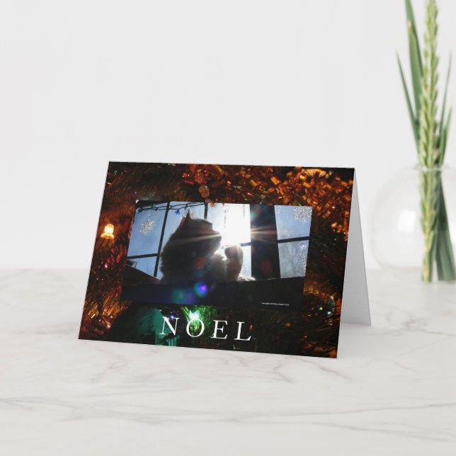 Cartes Pour Fêtes Annuelles Chat Noel-Sunburst (Devant)