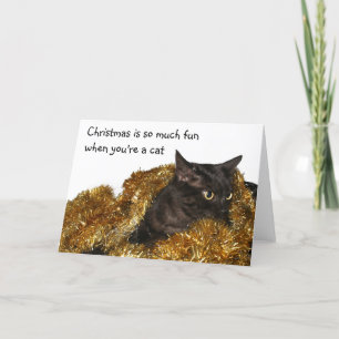 Cartes Pour Fêtes Annuelles Chat noir