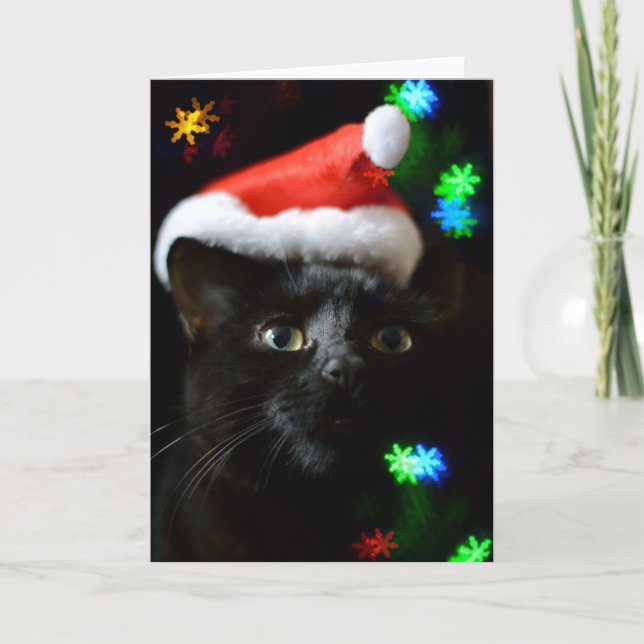 Cartes Pour Fêtes Annuelles Chat noir à l'heure de Noël (Devant)