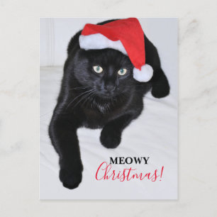 Cartes Pour Fêtes Annuelles Chat noir avec le chapeau rouge de Père Noël