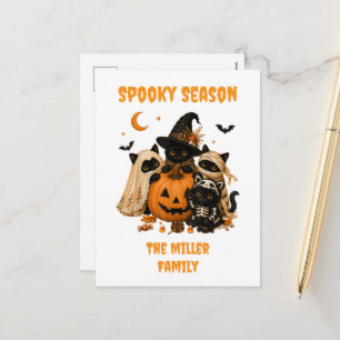 Cartes Pour Fêtes Annuelles Chat noir citrouille sorcière Halloween
