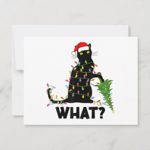 Cartes Pour Fêtes Annuelles Chat noir drôle poussant l'arbre de Noël sur le ch