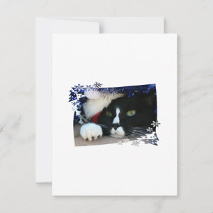 Cartes Pour Fêtes Annuelles Chat noir et blanc, chapeau santa, tinsel et patte