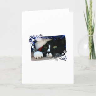 Cartes Pour Fêtes Annuelles Chat noir et blanc, chapeau santa, tinsel et patte