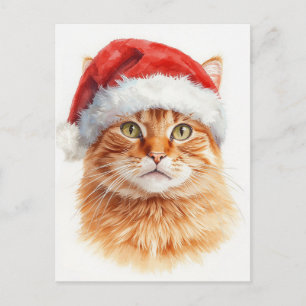 Cartes Pour Fêtes Annuelles Chat orange tabby adorable avec un chapeau de Père