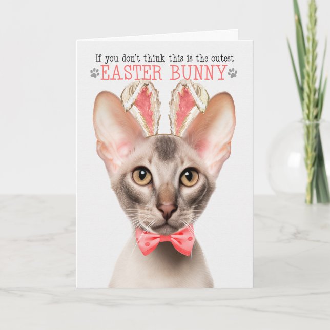 Cartes Pour Fêtes Annuelles Chat Oriental Cutest Bunny Bunny Kitty Puns (Devant)