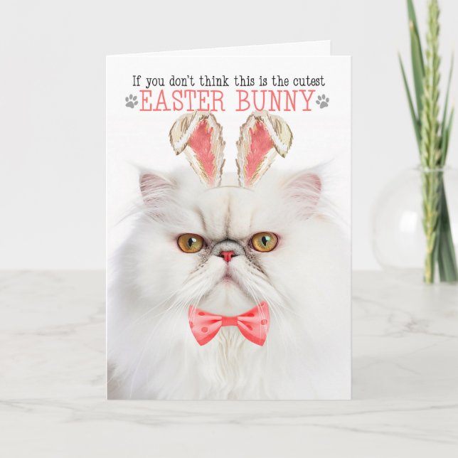 Cartes Pour Fêtes Annuelles Chat Peret Blanc Cutest Bunny Bunny Kitty Puns (Devant)