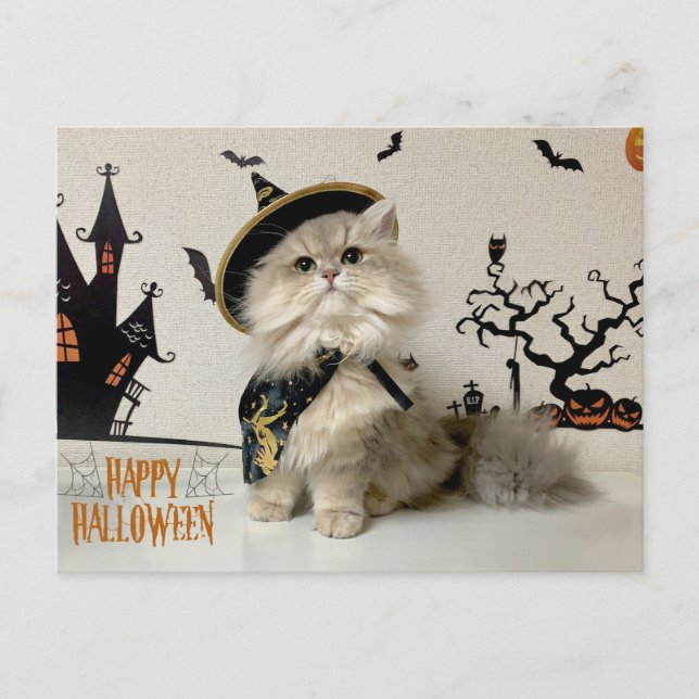 Cartes Pour Fêtes Annuelles Chat persan mignon en costume d'Halloween (Devant)
