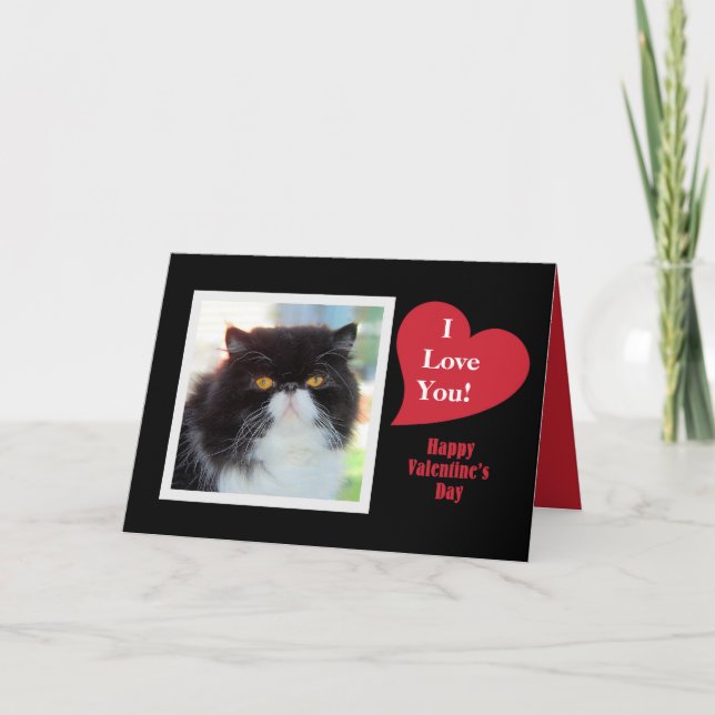 Cartes Pour Fêtes Annuelles Chat Perse Je t'aime Valentine (Devant)