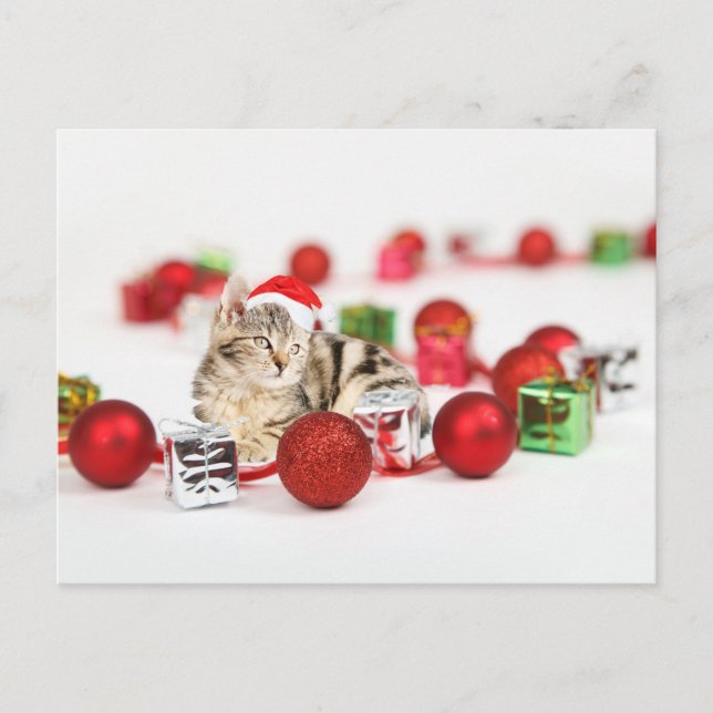 Cartes Pour Fêtes Annuelles Chat portant le chapeau rouge du Père Noël (Devant)