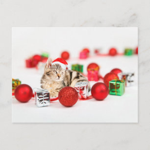 Cartes Pour Fêtes Annuelles Chat portant un chapeau de Père Noël rouge Ornemen