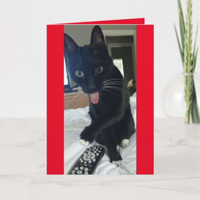 Cartes Pour Fêtes Annuelles Chat prend télécommande pour Valentines Day drôle (Devant)