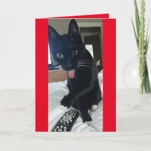 Cartes Pour Fêtes Annuelles Chat prend télécommande pour Valentines Day drôle