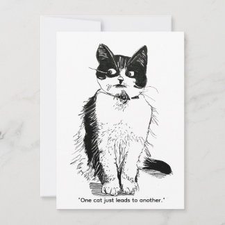Cartes Pour Fêtes Annuelles Chat sale - Un chat en entraîne un autre