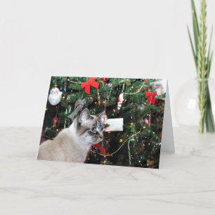 Cartes Pour Fêtes Annuelles Chat siamois et arbre de Noël