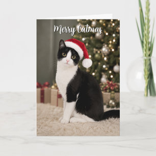 Cartes Pour Fêtes Annuelles Chat smoking Noël Chapeau de Père Noël Drôle de Ca