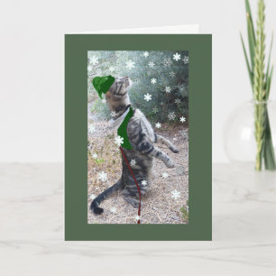 Cartes Pour Fêtes Annuelles Chat Tabby Elf Christmas