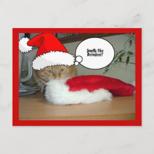 Cartes Pour Fêtes Annuelles Chat Tabby Orange de Noël