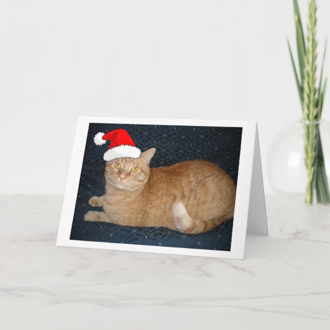 Cartes Pour Fêtes Annuelles Chat Tabby Orange de Noël (Devant)