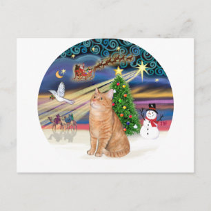 Cartes Pour Fêtes Annuelles Chat Tabby Orange - Magie de Noël