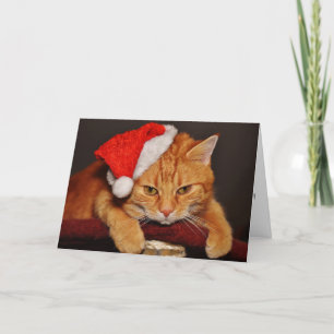 Cartes Pour Fêtes Annuelles Chat tigré orange avec un chapeau de Père Noël