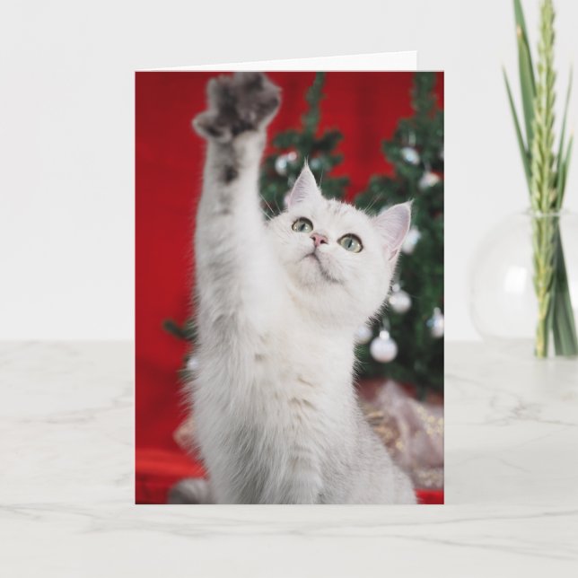 Cartes Pour Fêtes Annuelles Chat XMAS Blanc (Devant)