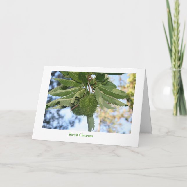 Cartes Pour Fêtes Annuelles Châtaignes de ranch (Devant)