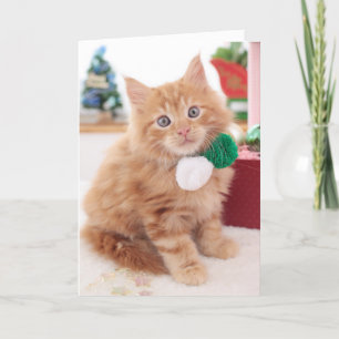 Cartes Pour Fêtes Annuelles Chaton