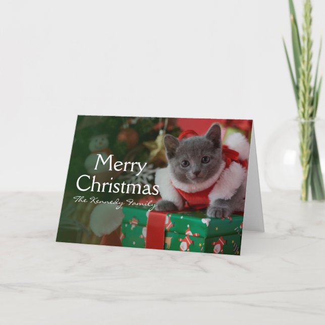 Cartes Pour Fêtes Annuelles Chaton bleu russe et Noël (Devant)