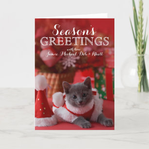 Cartes Pour Fêtes Annuelles Chaton bleu russe et Noël