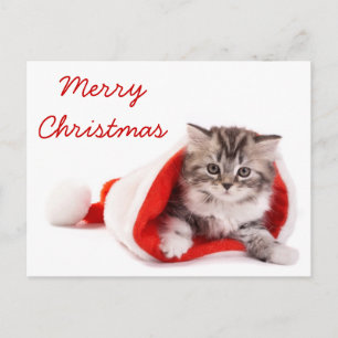 Cartes Pour Fêtes Annuelles Chaton dans le casquette de Père Noël