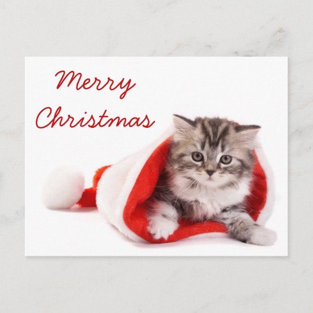 Cartes Pour Fêtes Annuelles Chaton dans le casquette de Père Noël (Devant)